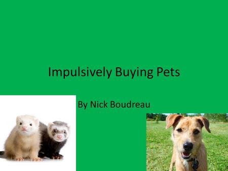 Impulsively Buying Pets By Nick Boudreau Introduction At one point, you probably saw something cool in the shop. You might have bought the item soon.