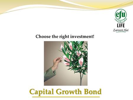 Choose the right investment!