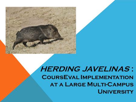 HERDING JAVELINAS : CoursEval Implementation at a Large Multi-Campus University.