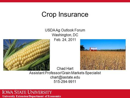 University Extension/Department of Economics Crop Insurance USDA Ag Outlook Forum Washington, DC Feb. 24, 2011 Chad Hart Assistant Professor/Grain Markets.