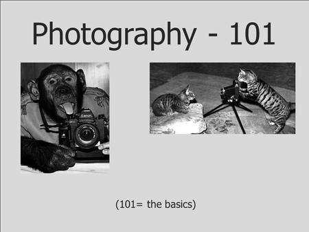 Photography - 101 (101= the basics). Failure is a crucial part of the creative process. Authentic success arrives only after we have mastered failing.