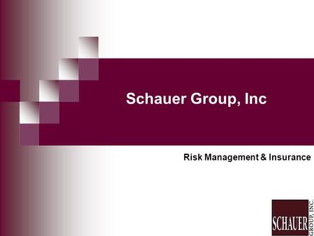 Schauer Group, Inc Risk Management & Insurance. Presenters Joseph D. Schauer, CPCU, ARM Practice Leader Risk Management Ron Van Horn, CPCU Practice Leader.