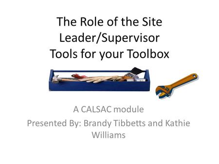 The Role of the Site Leader/Supervisor Tools for your Toolbox