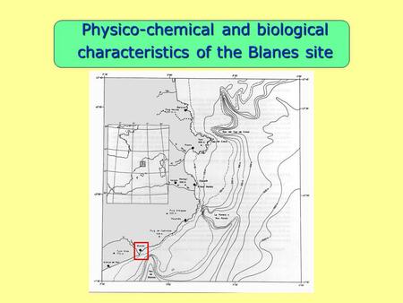 Physico-chemical and biological characteristics of the Blanes site.