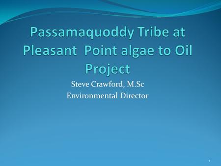 Steve Crawford, M.Sc Environmental Director 1. Overview and Background Tribal energy mission statement: To be 100% self- sufficient in energy, while safeguarding.