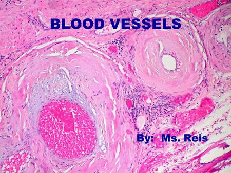 BLOOD VESSELS By: Ms. Reis.