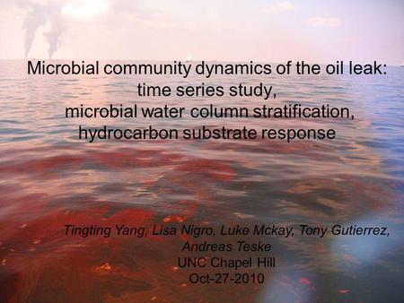 Microbial community dynamics of the oil leak: time series study, microbial water column stratification, hydrocarbon substrate response Tingting Yang, Lisa.