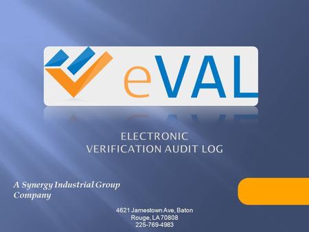Electronic verification audit log