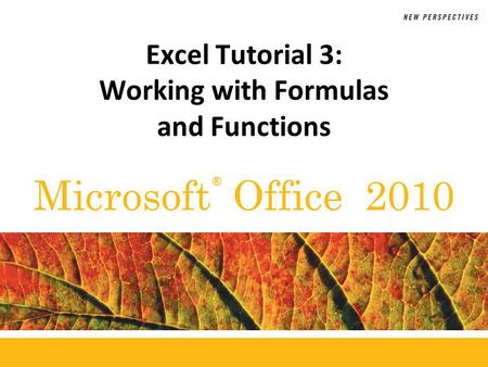 ® Microsoft Office 2010 Excel Tutorial 3: Working with Formulas and Functions.