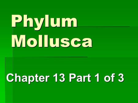 Phylum Mollusca Chapter 13 Part 1 of 3.