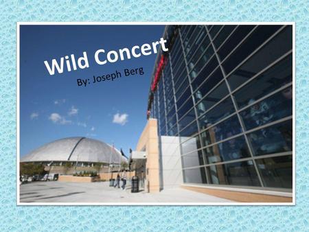Wild Concert By: Joseph Berg. Once upon a time, there was a town named Sunny, in BrookYork. On July 17,2013, there were a couple skaters named Lil.