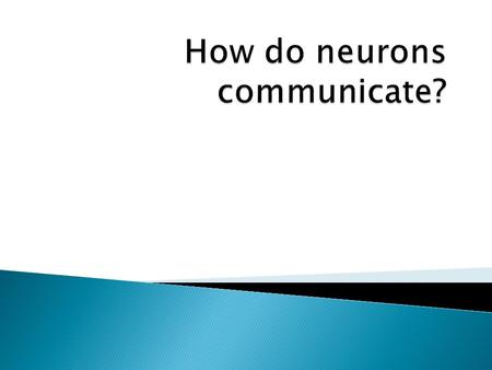 a b c Need to think about this question 2 ways 1. within neurons – 2. between neurons-