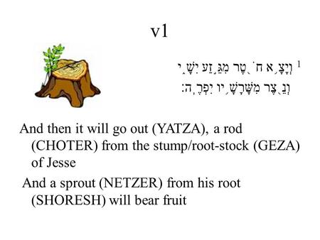 V1 1 וְיָצָ ֥ א חֹ ֖ טֶר מִגֵּ ֣ זַע יִשָׁ ֑ י וְנֵ ֖ צֶר מִשָּׁרָשָׁ ֥ יו יִפְרֶֽה׃ And then it will go out (YATZA), a rod (CHOTER) from the stump/root-stock.