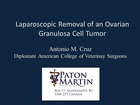 Laparoscopic Removal of an Ovarian Granulosa Cell Tumor