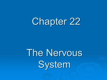 Chapter 22 The Nervous System.