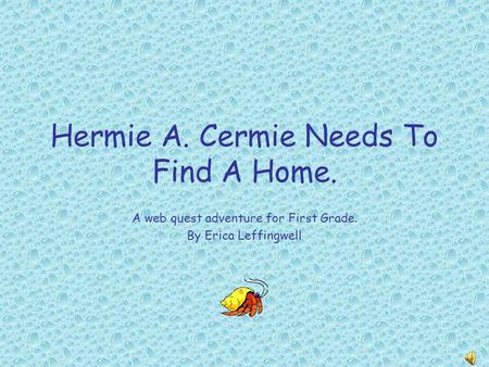 Hermie A. Cermie Needs To Find A Home.