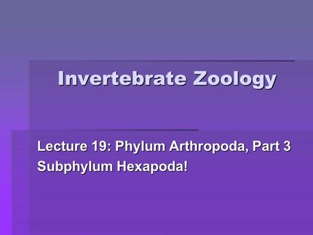 Lecture 19: Phylum Arthropoda, Part 3 Subphylum Hexapoda!