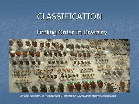 Finding Order In Diversity