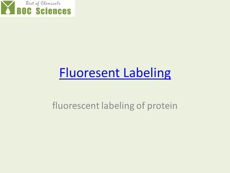fluorescent labeling of protein
