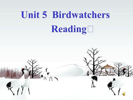 Unit 5 Birdwatchers Reading Ⅰ birdwatcher They are enjoying birdwatching.