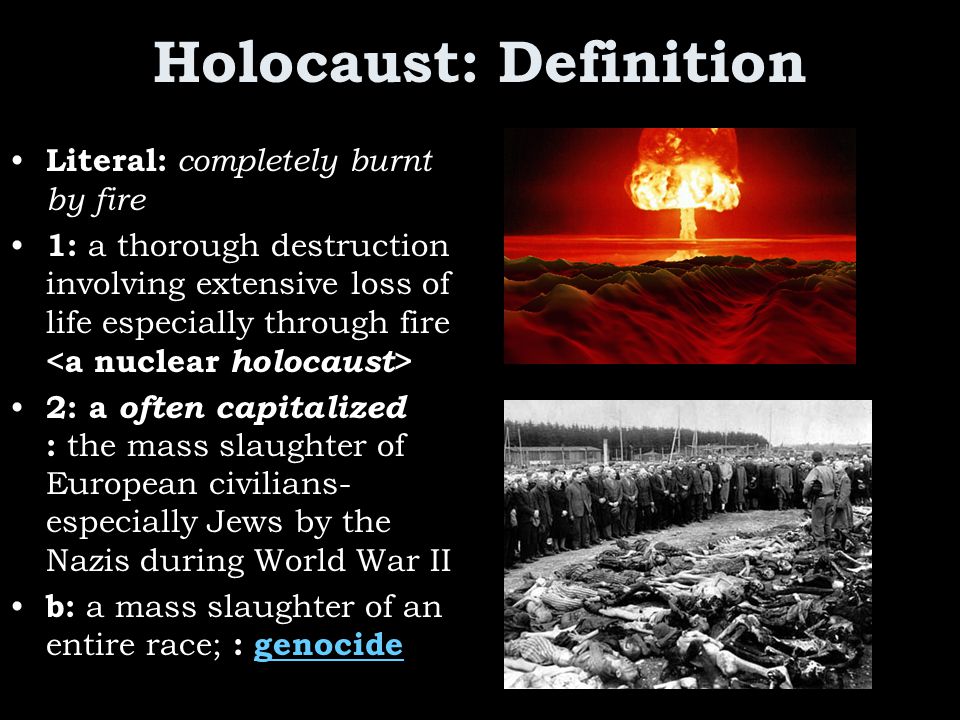 Image result for define holocaust