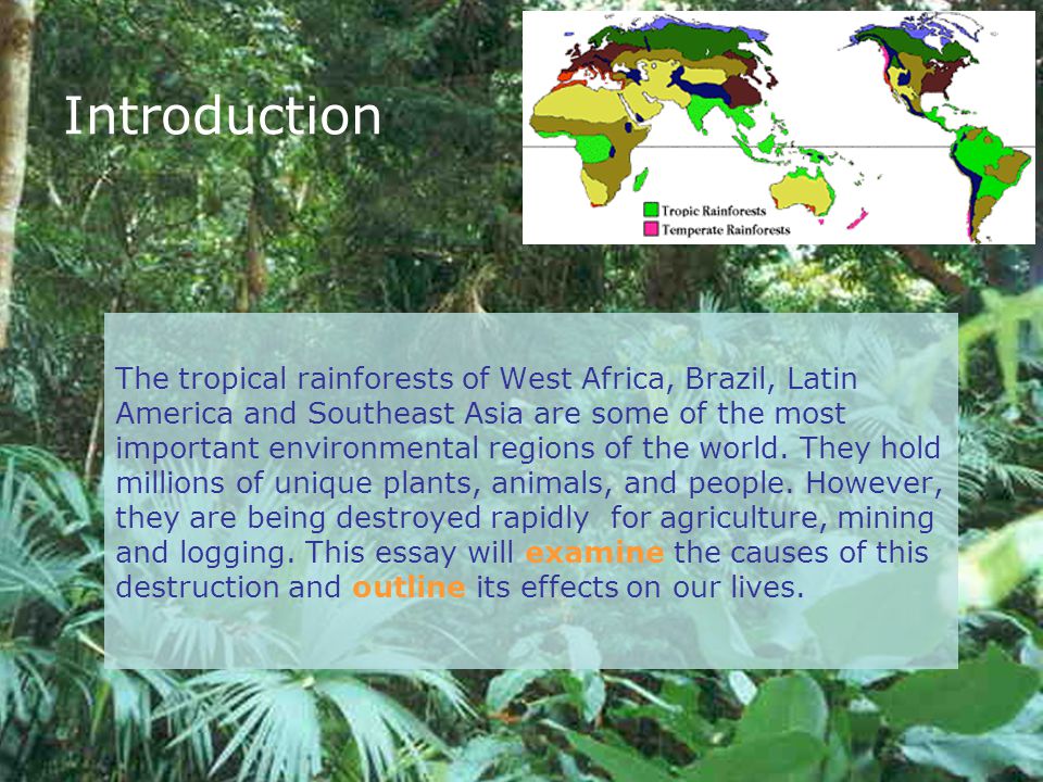 Tropical deforestation essay