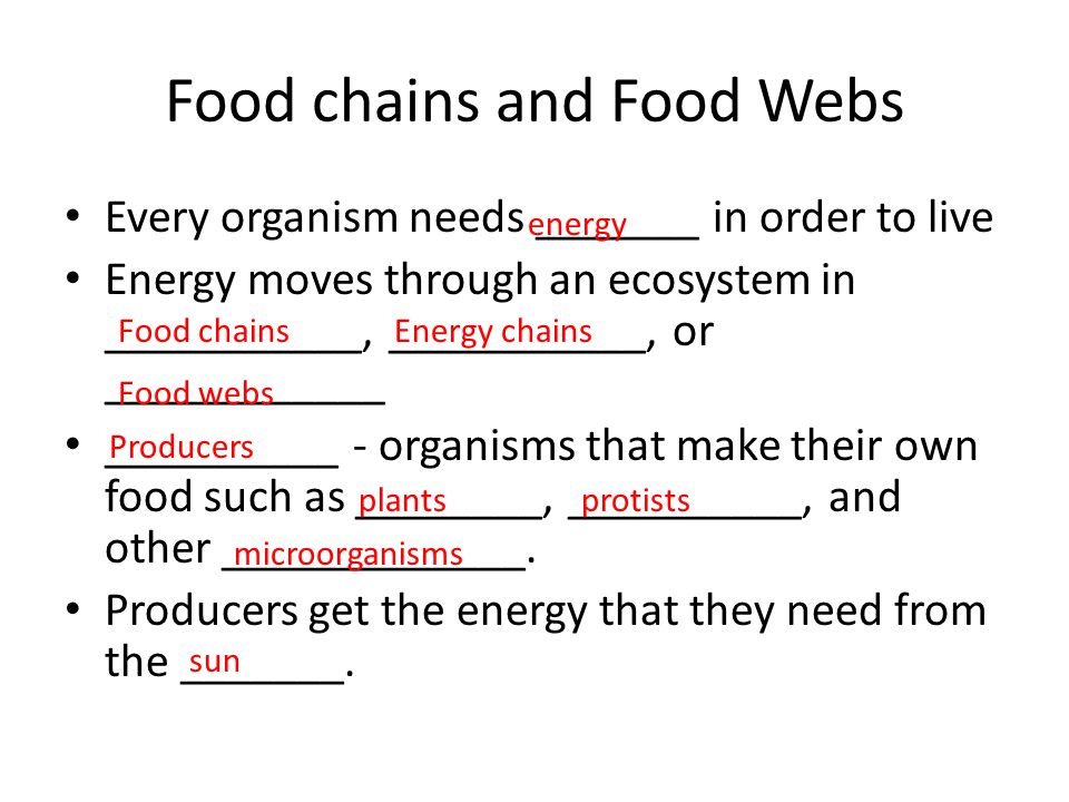 download pathways to the