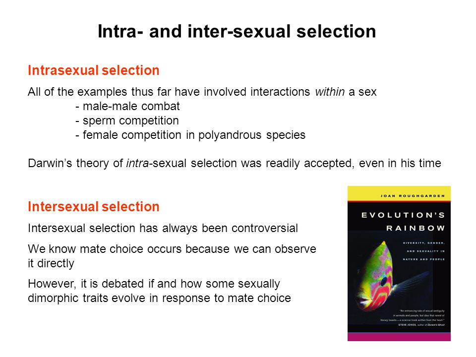 Sexual Inter 77