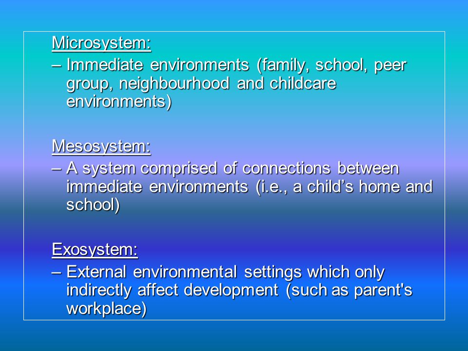 macrosystem child development