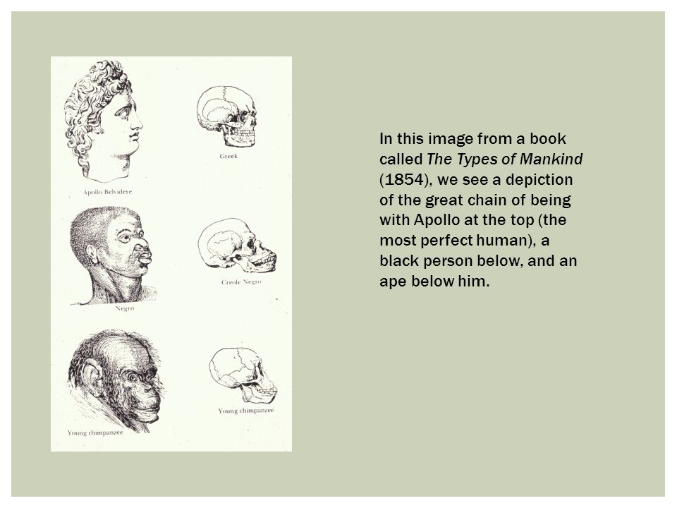 book universal physical constants