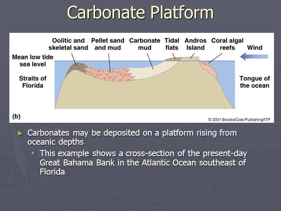 M83 CD - Permo-Carboniferous Carbonate Platforms Reefs