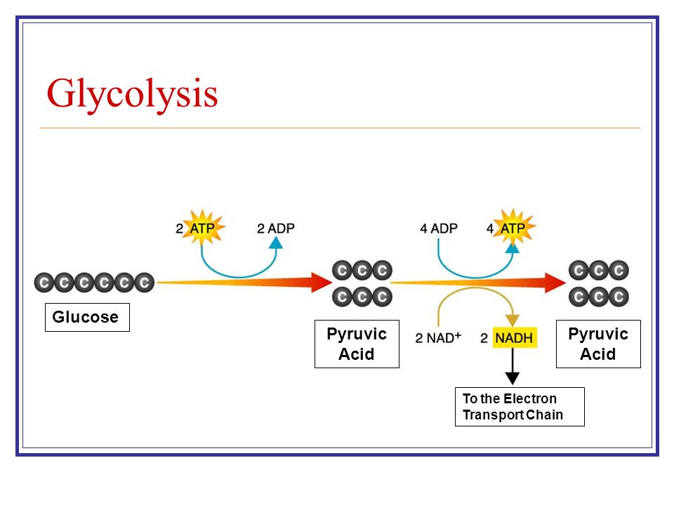 download advanced biofuels