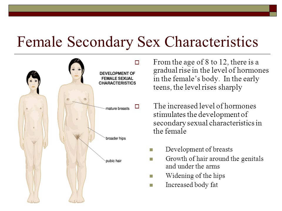 Secondary Sex Characteristics Of Males Pics And Galleries