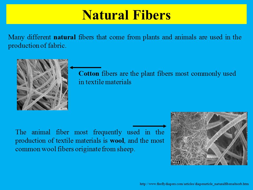 download scientific foundations of