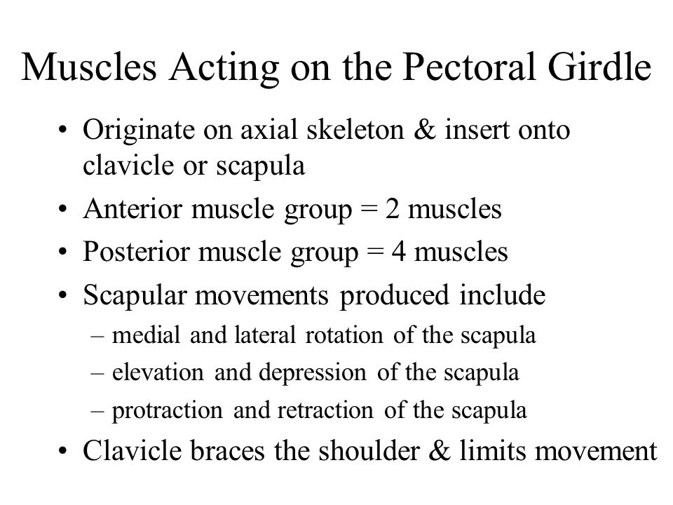 Clavicula Rotation Diet