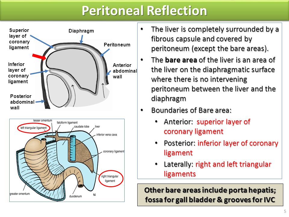 download The Official Patient's Sourcebook on Rift Valley Fever