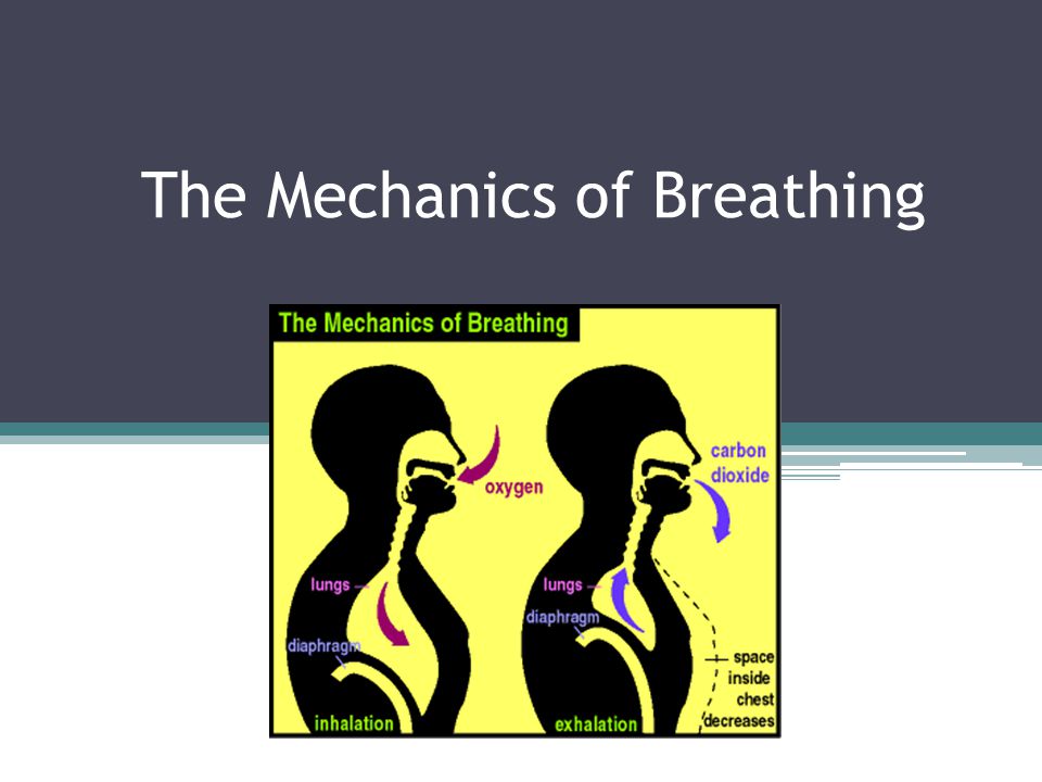 download chemical thermodynamics