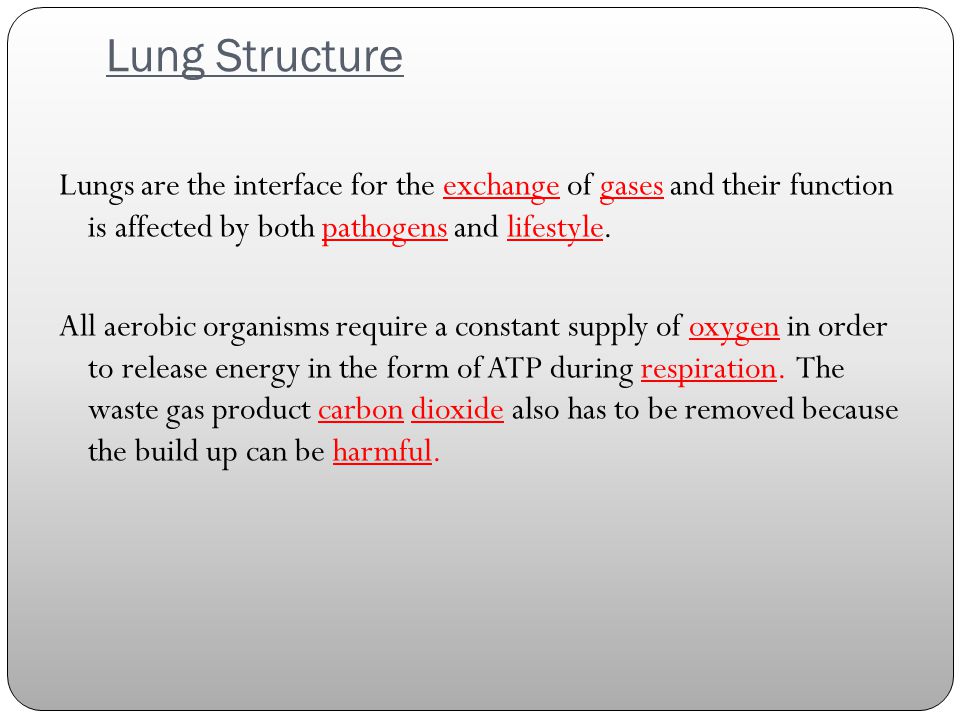 high performance java platform computing multithreaded and