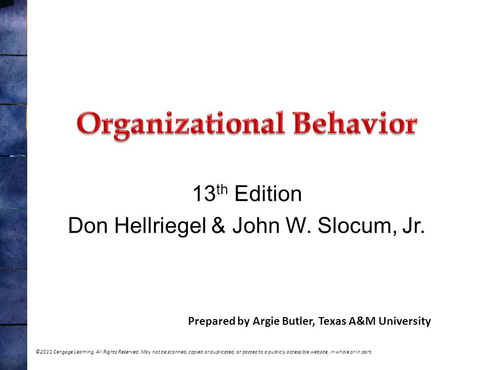 Organizational Behavior: Amazoncouk: Don Hellriegel
