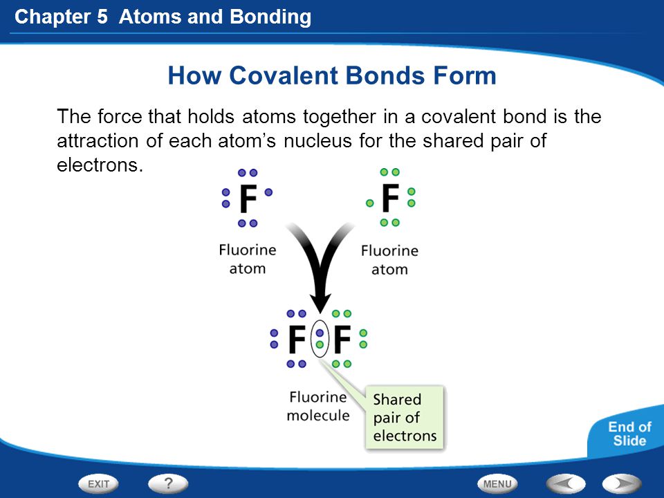 download polynomial root finding and polynomiography