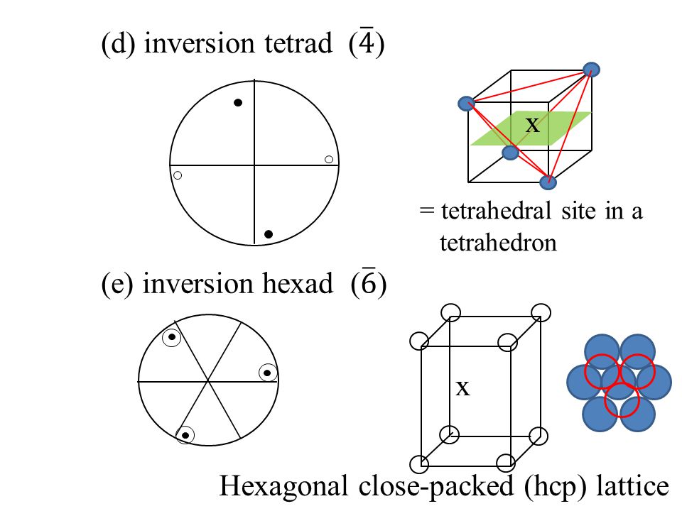 download Disclosing Intertextualities: