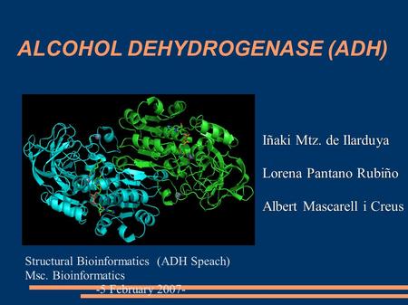 ALCOHOL DEHYDROGENASE (ADH) Iñaki Mtz. de Ilarduya Lorena Pantano Rubiño Albert Mascarell i Creus Structural Bioinformatics (ADH Speach) Msc. Bioinformatics.