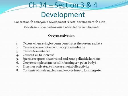 Ch 34 – Section 3 & 4 Development Conception  embryonic development  fetal development  birth Oocyte in suspended meiosis II at ovulation (in tube)