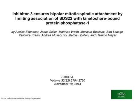 Inhibitor ‐ 3 ensures bipolar mitotic spindle attachment by limiting association of SDS22 with kinetochore ‐ bound protein phosphatase ‐ 1 by Annika Eiteneuer,