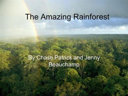 The Amazing Rainforest By Chase Patrick and Jenny Beauchamp.