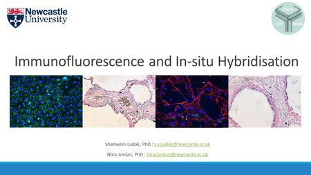 Immunofluorescence and In-situ Hybridisation Shameem Ladak, PhD : Nina Jordan, PhD :