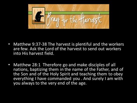 Then he said to his disciples, the harvest is plentiful and the workers are few. Ask the Lord of the harvest, therefore, to send out workers into his harvest.