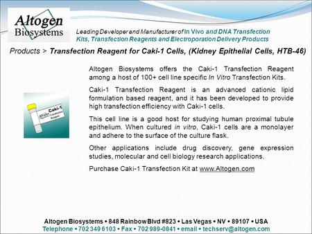 Altogen Biosystems offers the Caki-1 Transfection Reagent among a host of 100+ cell line specific In Vitro Transfection Kits. Caki-1 Transfection Reagent.