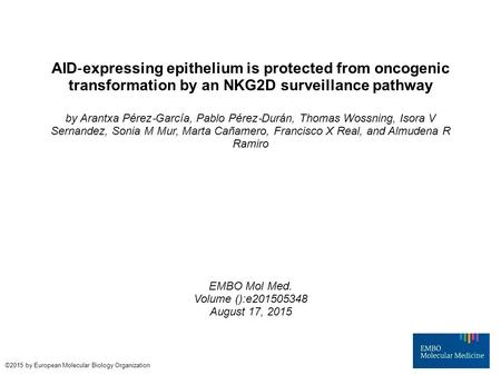 AID ‐ expressing epithelium is protected from oncogenic transformation by an NKG2D surveillance pathway by Arantxa Pérez ‐ García, Pablo Pérez ‐ Durán,