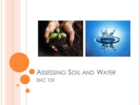 A SSESSING S OIL AND W ATER SNC 1DI. A SSESSING S OILS Soil is much more than just dirt, it is in fact full of life The condition of soil provides a good.